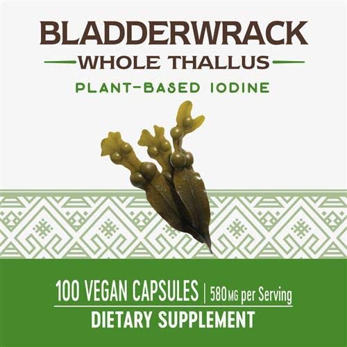 Viên uống bổ sung I ỐT/ IODINE thuần chay từ tảo bẹ nâu Bladderwrack Nature’s Way 580mg, 100 viên.