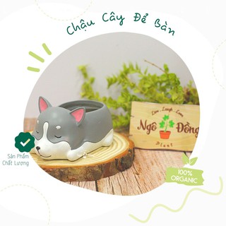 [Qùa Tặng Ngộ Nghĩnh] Chậu Cây Décor Hình Chú Husky Nằm Ngủ Đáng Yêu, Trồng Cây Cảnh Sen Đá Xương Rồng Tiện Dụng