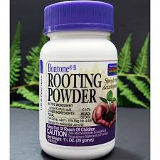 KÍCH RỄ ROOTING-POWDER HÀNG ĐƯỢC NHẬP KHẨU TỪ MỸ  lọ 35g