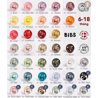 [ CHÍNH HÃNG ] TY NGẬM BIBS ĐAN MẠCH: CHỐNG HÔ - CHỐNG VẨU - LƯU THÔNG KHÔNG KHÍ từ 0-18m (màu ngẫu nhiên)