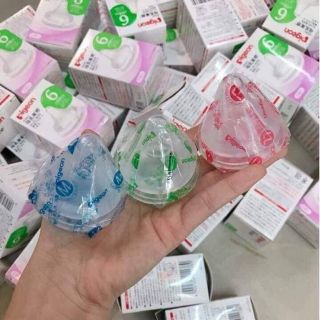 Núm ti pigeon nội địa nhật