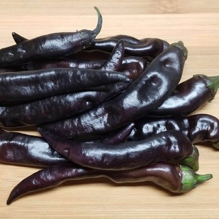 Hạt giống ớt đen - 30 hạt