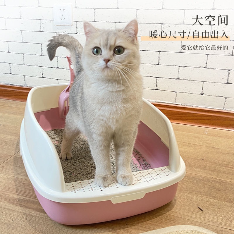 Nhà vệ sinh cho mèo con và mèo lớn size quá to với giá rẻ