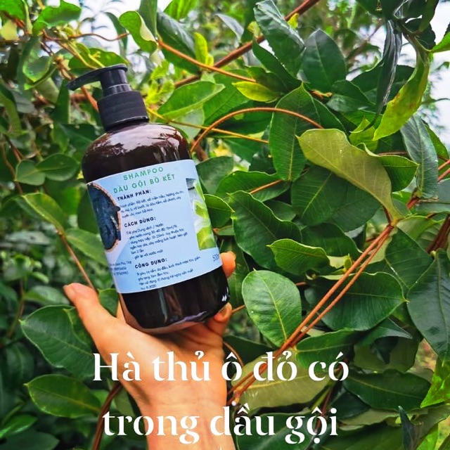 DẦU GỘI BỒ KẾT- DẦU XẢ BƯỞI