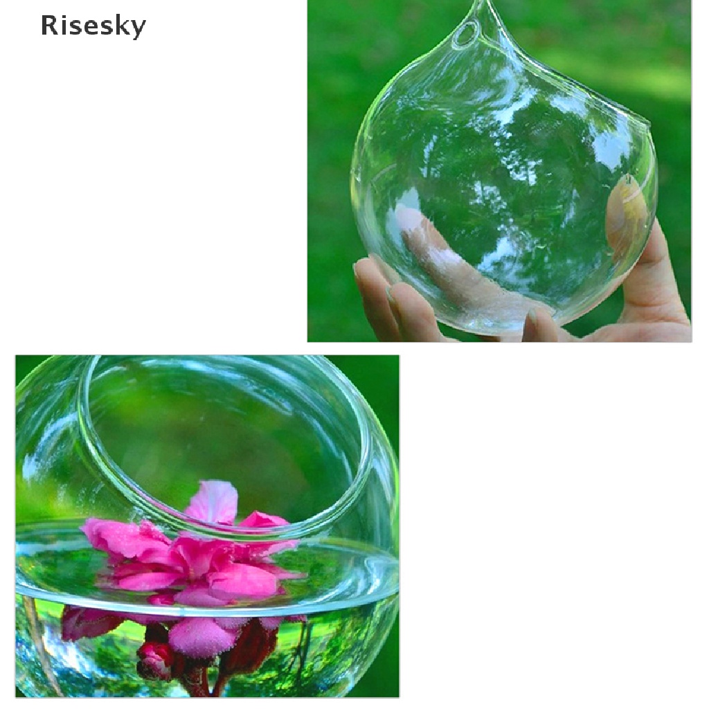 Mới Chậu Hoa Thủy Tinh Hình Cầu Dùng Trang Trí