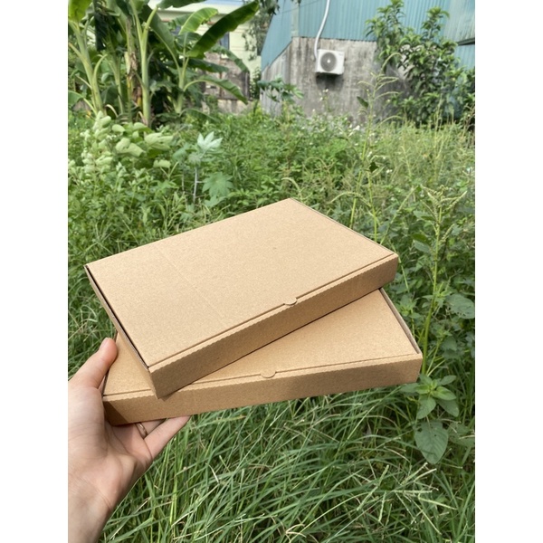 Hộp carton nắp gài size 25x17x3