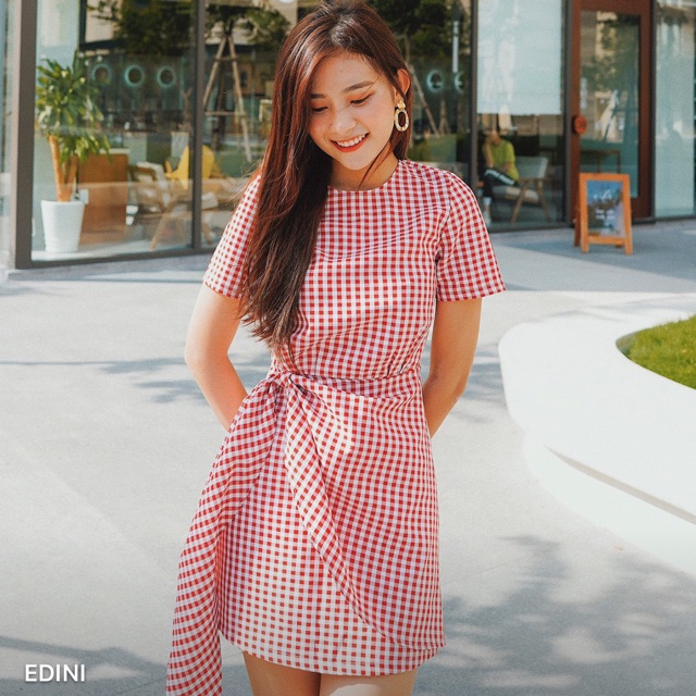 Dam  Edini