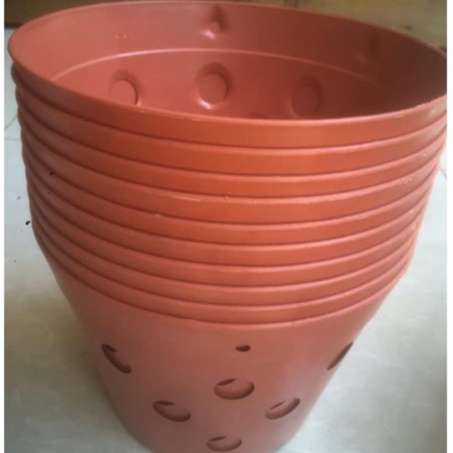 10 chậu nhựa giả đất nung trồng Lan phi 27