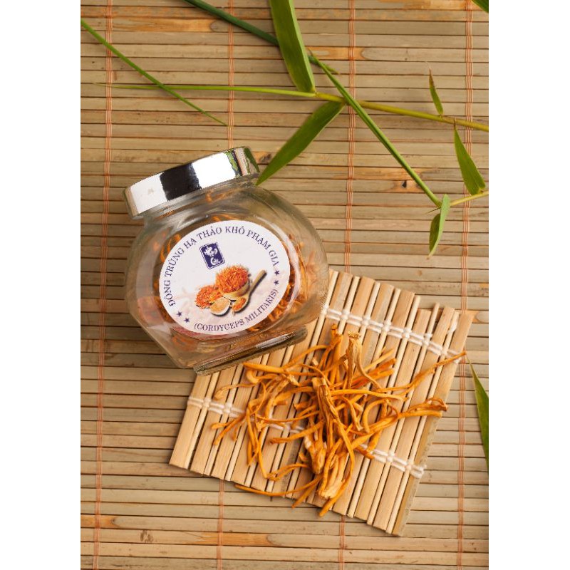 đông trùng hạ thảo Phạm Gia ( lọ 10g)