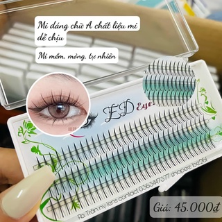 [Tặng kèm keo dán mi và nhíp nhỏ] Lông mi chữ A dáng xanh