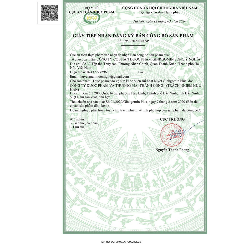 Hoạt huyết Ginkgomin Plus Dạng Sủi Hộp 20 Viên - Giảm Đau Đầu, Căng Thẳng Từ Ginkgo Biloba, Giảo Cổ Lam và magie