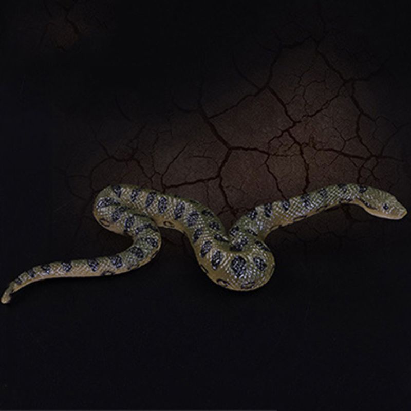 Mô Hình Rắn Anaconda 5in Dùng Làm Đạo Cụ Ảo Thuật
