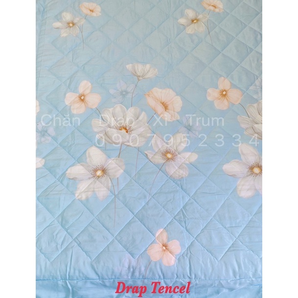 <Link mới> CHĂN MỀN TENCEL CHẦN GÒN