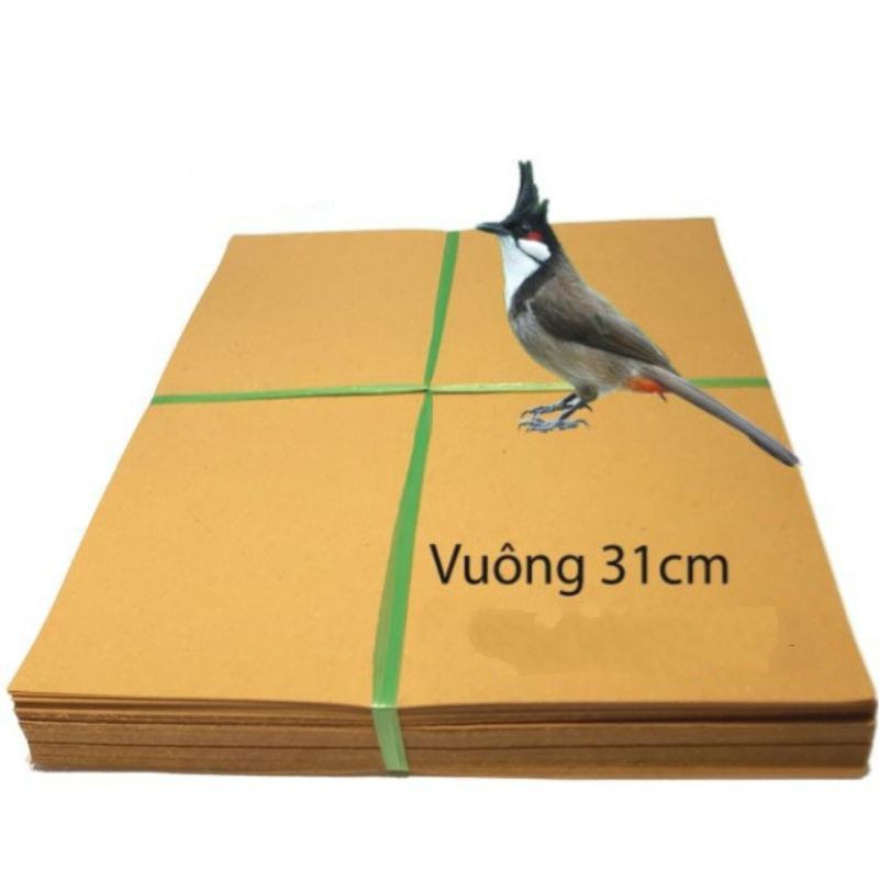 Giấy lót lồng chim đủ kích cỡ 300g