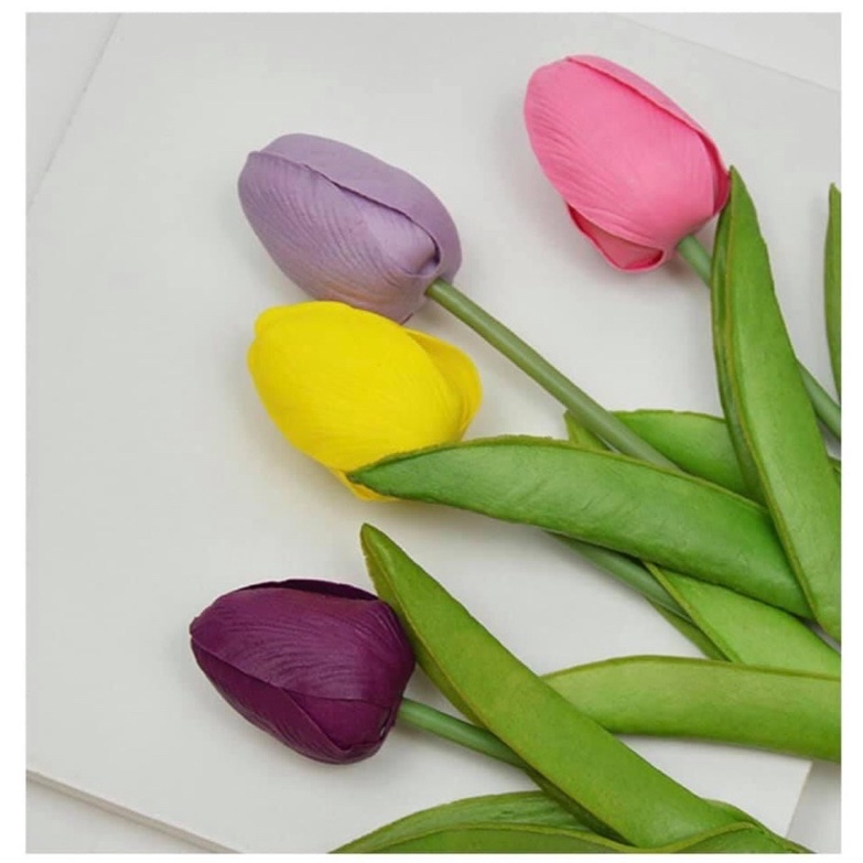Hoa tulip sáp