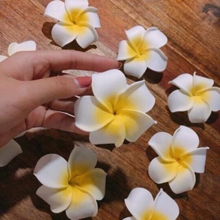 Hoa đại cài tóc