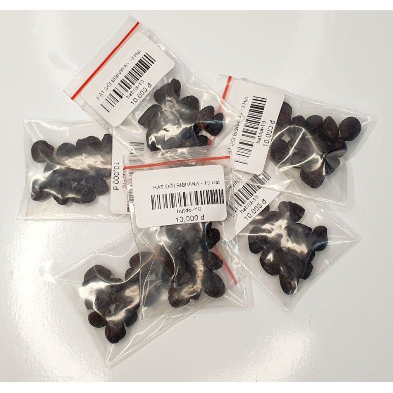 12 Hạt Dổi Nếp Cổ Thụ Thơm Ngon Bibivina