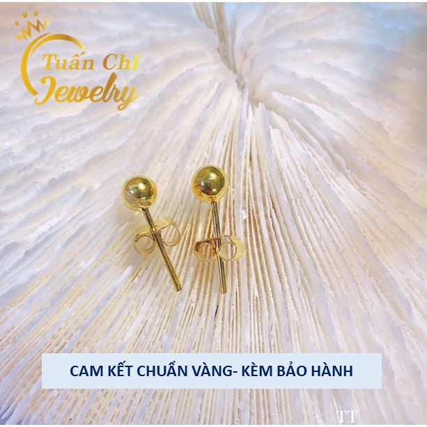 Bông Tai Nữ ⚡HÀNG CHUẨN BẢO HÀNH⚡ Khuyên Tai Nữ Kiểu Nụ Bóng Tròn Trơn Đơn Giản, Xinh Xắn