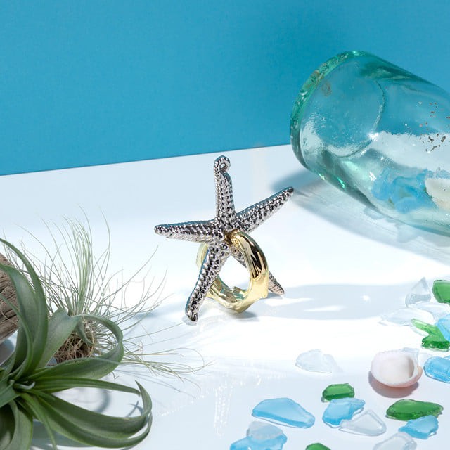 Đồ chơi giải đố Huzzle sắt Nhật Hanayama - Bộ Limited