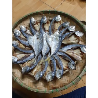 Khô Cá Chỉ Xẻ Bụng Ninh Thuận