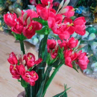 Hoa đỗ quyên 5 nhánh 30k