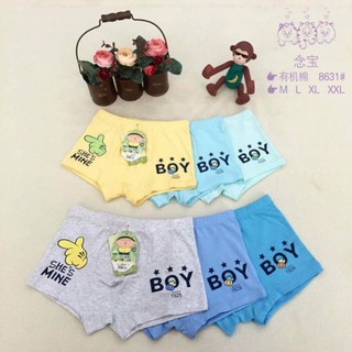 Set 2 Quần lót (chip) đùi cho bé trai (1-8 tuổi)