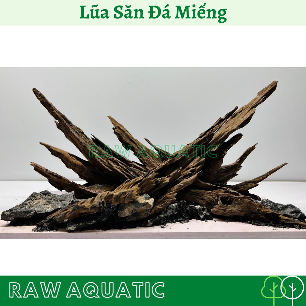 Lũa Săn Đá Miếng Trang Trí, Setup Bể Cá Cảnh, Bể Thủy Sinh