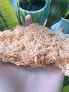 Cơm cháy chà bông bếp cô thóc