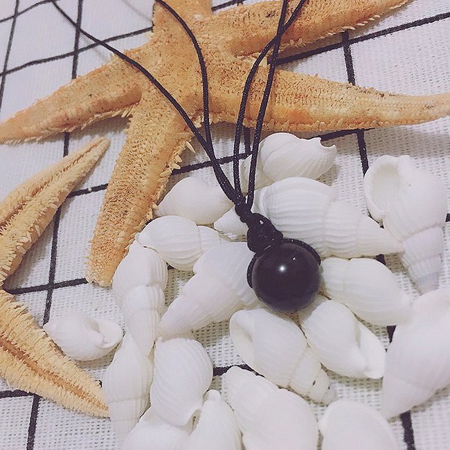 Vỏ Ốc Và Sao Biển Trang Trí Chụp Ảnh