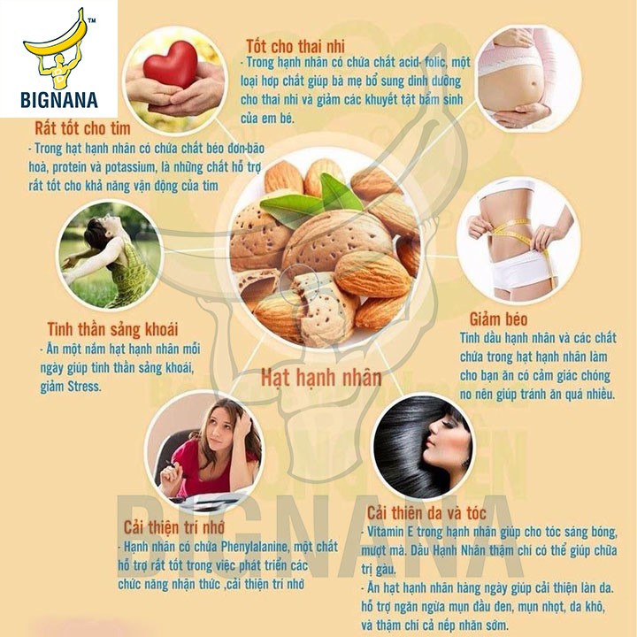 Hộp Mixed Nuts 6 In 1 - 500gr, Óc Chó, Hạnh Nhân, Hạt Thông, Macca, Hồ Đào, Hạt Dẻ Cười, Quả Mắc Ca Dinh Dưỡng | BigBuy360 - bigbuy360.vn