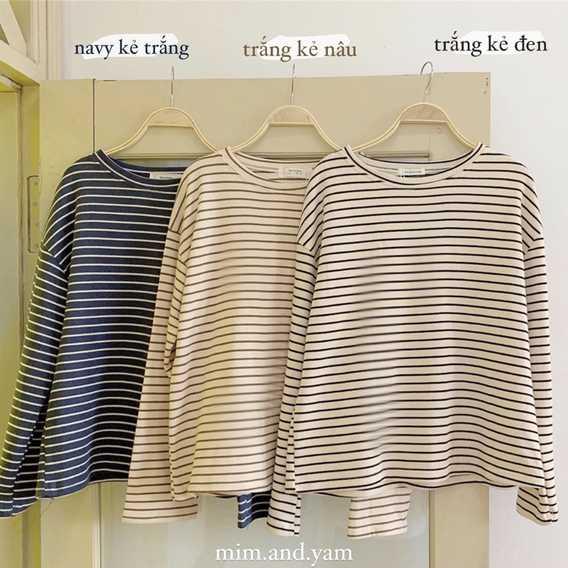 Áo len kẻ 3 màu