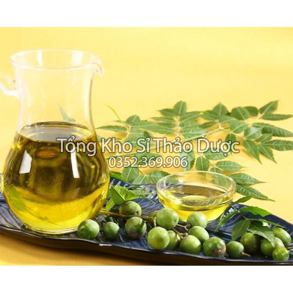 Lá neem khô Ấn Độ 1kg (Ổn định, kiểm soát đường huyết)