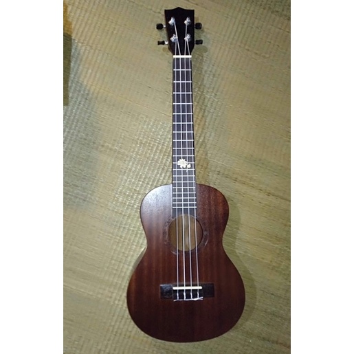 pass đàn ukulele tenor (size 26)