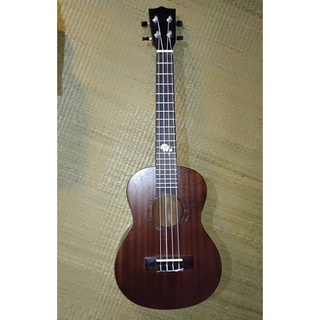 pass đàn ukulele tenor (size 26)