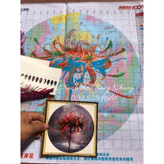 Tranh thêu chữ thập Hoa bỉ ngạn DX1056 50x50cm