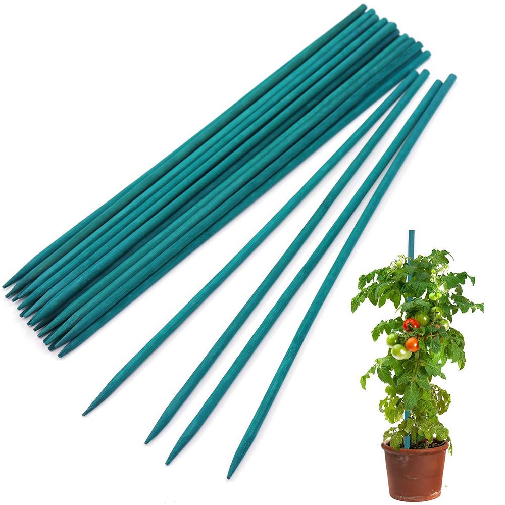 10/30 Thanh Tre Dùng Trồng Cây Chuyên Dụng|Giá Cố Định Cây Hoa Chất Lượng Cao