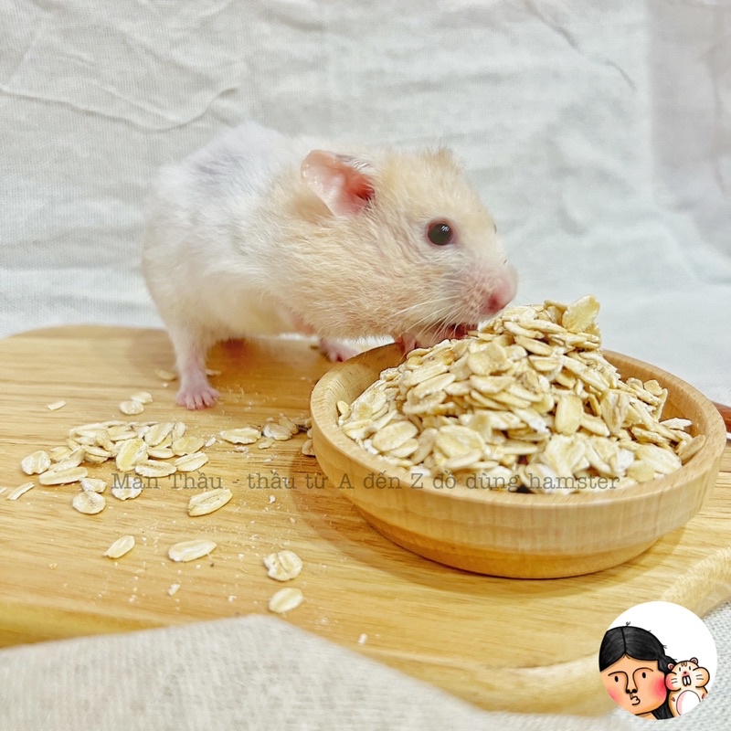 Yến mạch cán dẹp dành cho Hamster