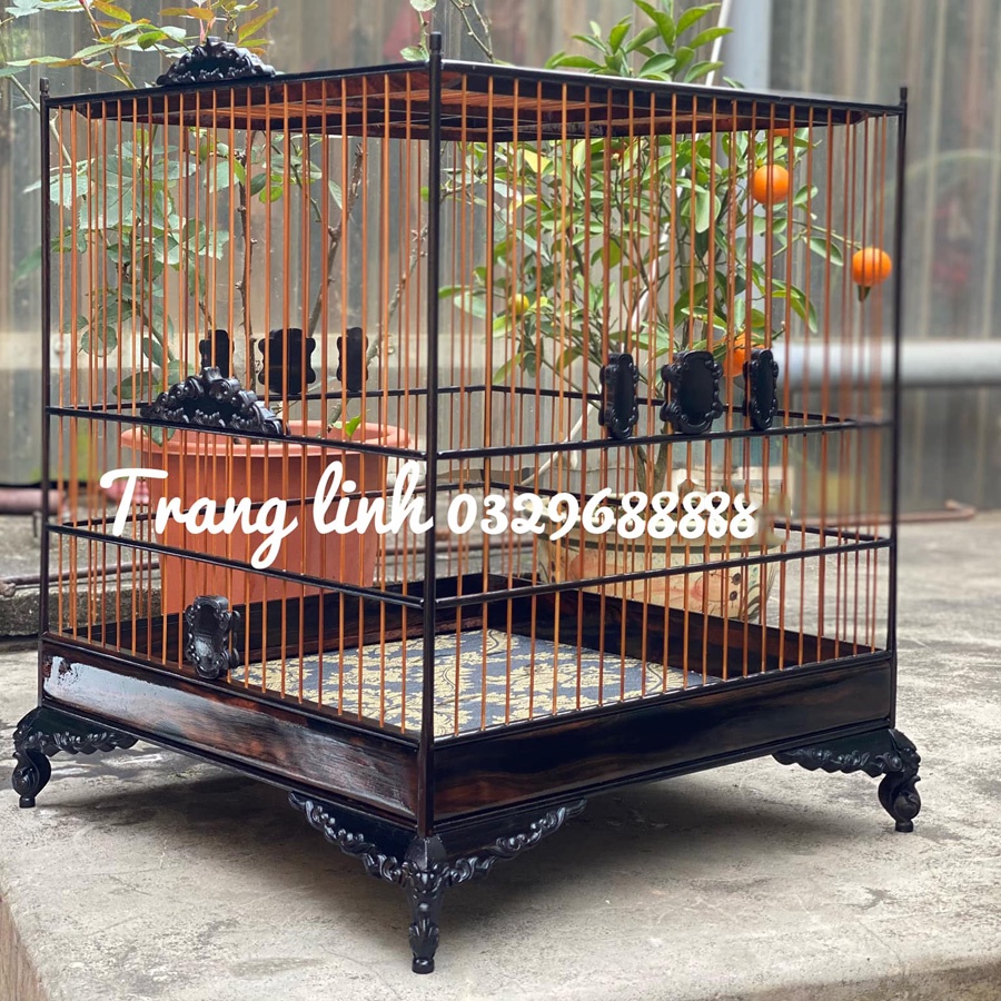 Lồng chim Jambul - TL07