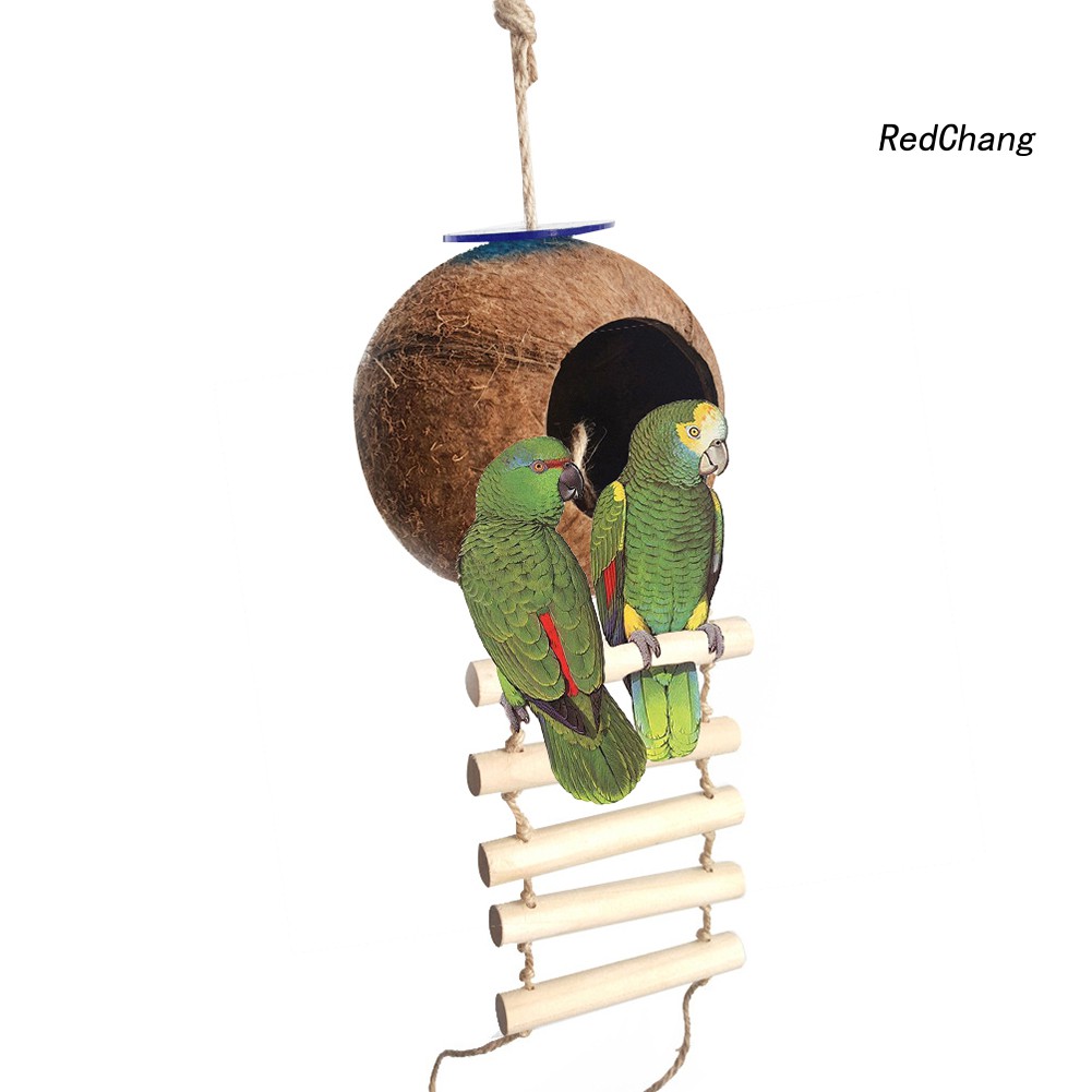 Tổ Chim Hình Gáo Dừa Xinh Xắn Độc Đáo