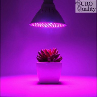 Đèn LED chuyên dụng hỗ trợ trồng cây tròn nhà 20W