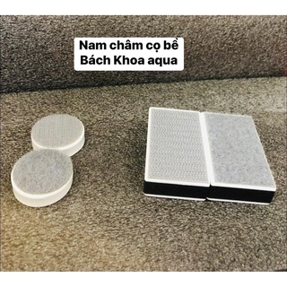 Nam châm mini - trung cao cấp vệ sinh bể cá