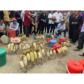 Mật ong rừng Điện Biên