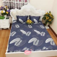 Bộ ga, gối cotton 2m2