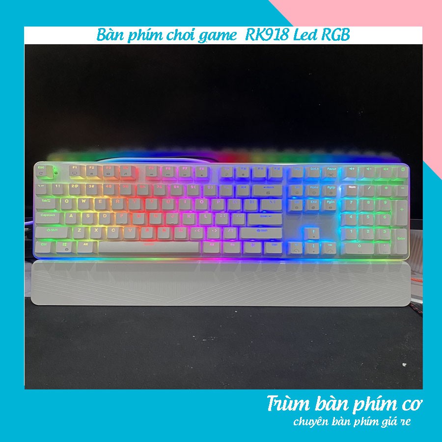 (Hàng Có Sẵn) Bàn Phím Gaming RK 918 RGB Led viền Pro (có kê tay) phù hợp cho mọi game thủ