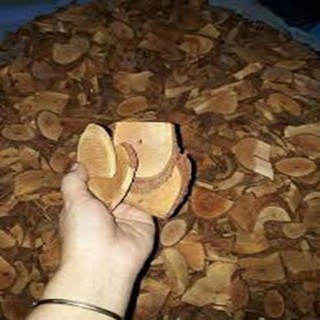 Rể mú Từn 100% rể - LOẠI CAO CẤP