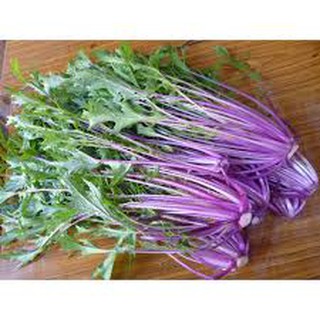 HẠT GIỐNG CẢI MIZUNA TÍM