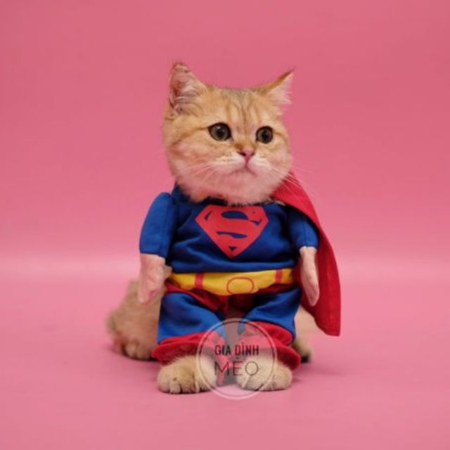 Áo chó mèo cosplay Super Man A43