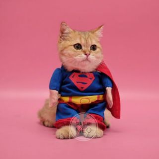 Áo chó mèo cosplay Super Man A43