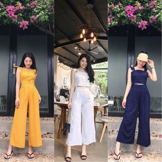 sét bộ chấm bi