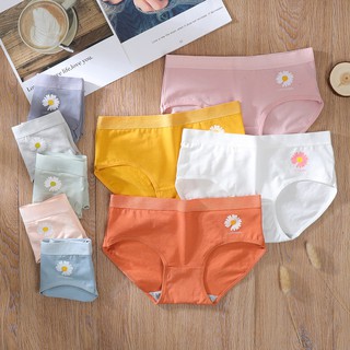 Quần lót cotton không viền quyến rũ 9 màu sắc tùy chọn dành cho nữ